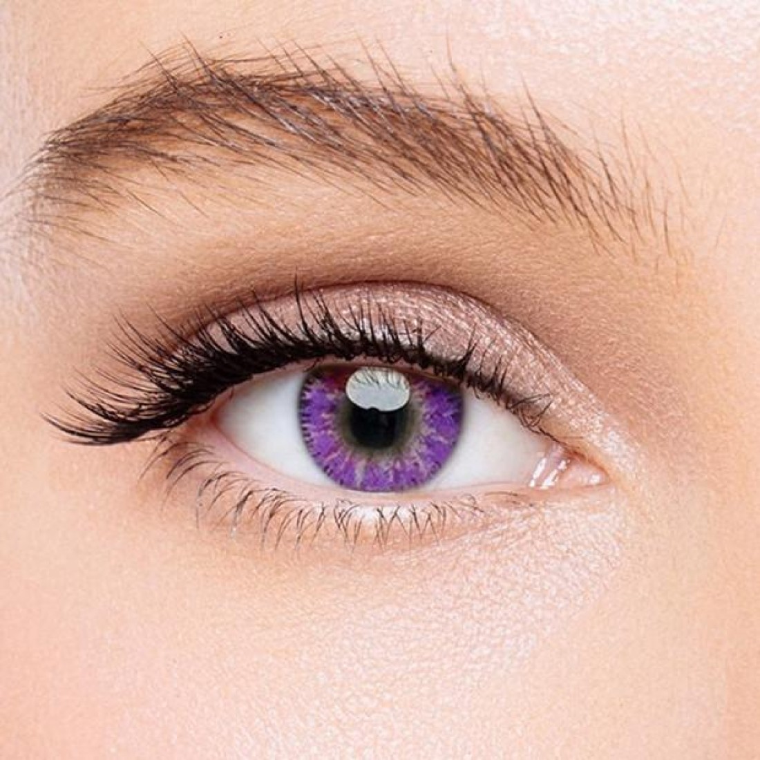 KateEye® Mystery Purple Colored Contact Lenses